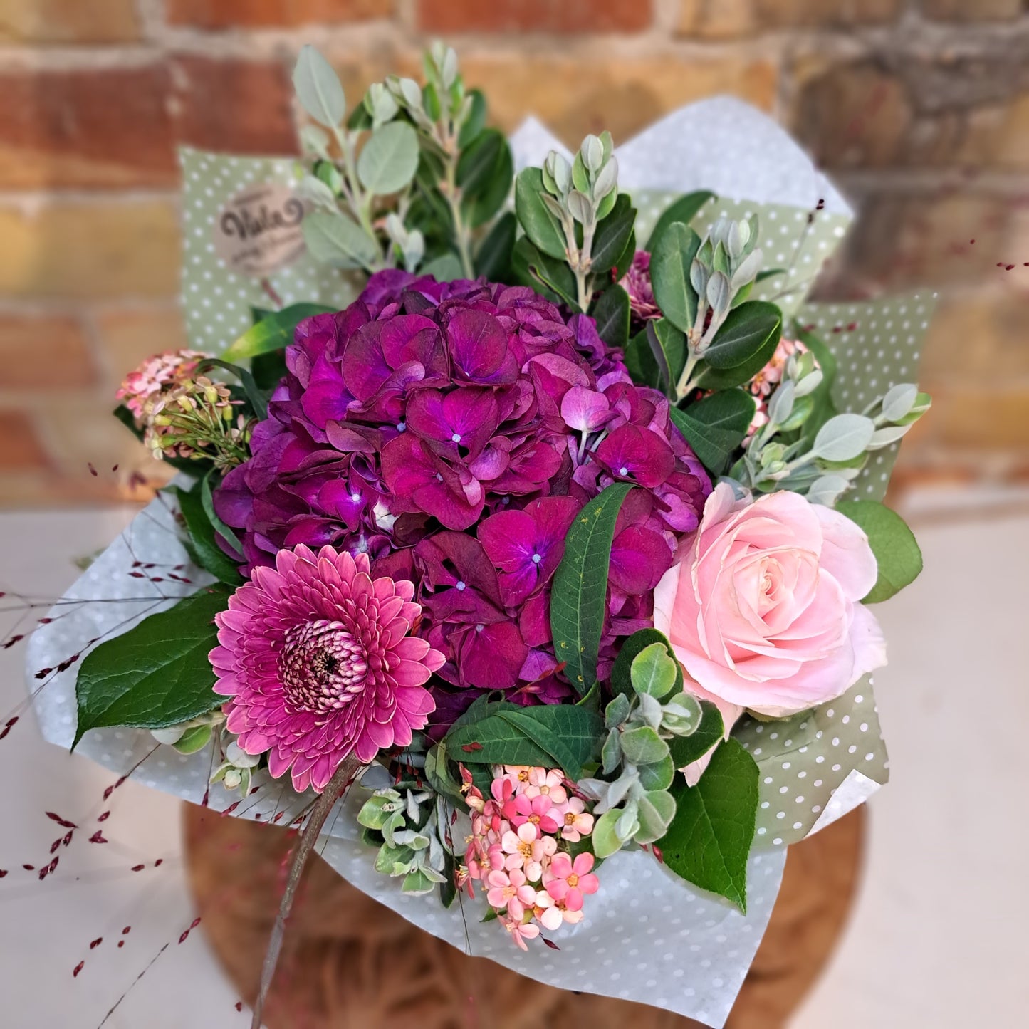 Drömmig hortensia