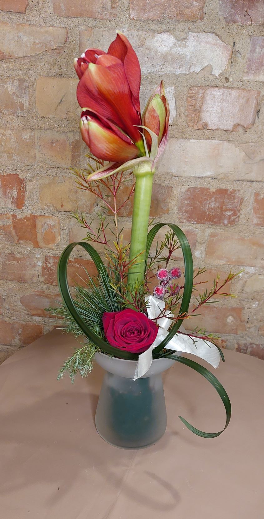 Stilren Amaryllis i glas