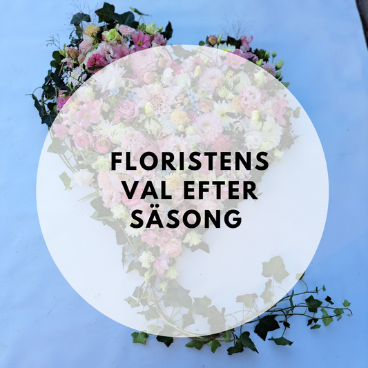 Begravningshjärta floristens val